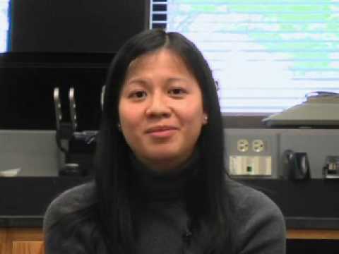 University of Michigan -