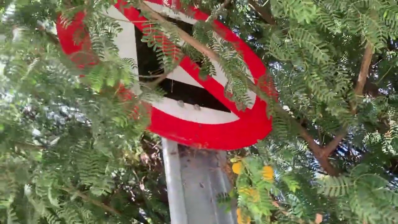 Consta que se incumplió el compromiso 