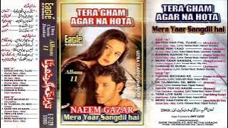 Mera Yaar Sangdil Hai _ Raghuveer _ Sadhana Sargam _ Eagle Jhankar