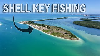 How to Fish Shell Key: Tampa Bay