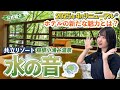 【箱根・水の音】2025年最新リニューアル！驚きの変化とこだわりポイントまとめて紹介します｜共立リゾート