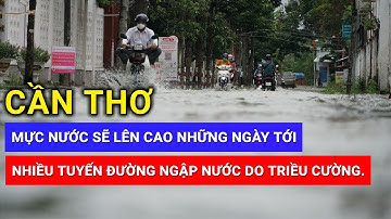 CẦN THƠ🔥"NÓNG" : Nhiều Tuyến Đường Ngập Nước Do Triều Cường, Mực Nước Vẫn Sẽ Lên Cao Những Ngày Tới.