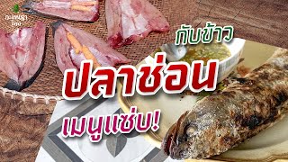 #ปลาช่อนนา #กับข้าว