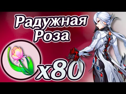 🔴Радужная Роза. Где найти все Радужные Розы. Маршрут фарма Радужных роз для Лини. Геншин 4.0 Фонтейн