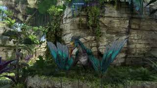 Rejected by Ikran makes Navi go back to Eywa