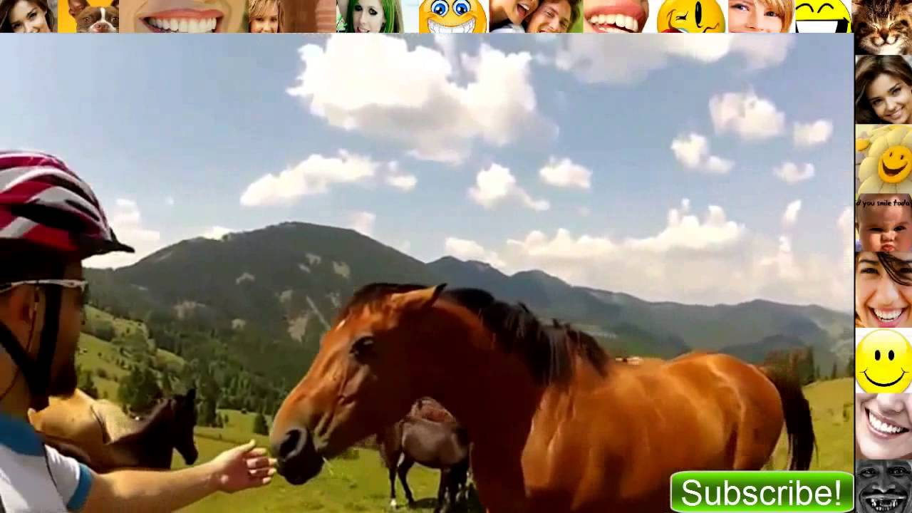 Video lucu banget 2016 