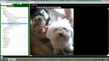 Instantly Capturing Files, Text, and Images Into ES Imaging