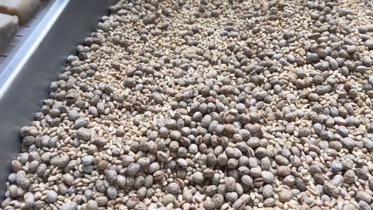 輕鬆煮夫動動手～古早味豆腐乳