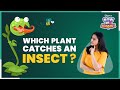 Understanding Plant Nutrition