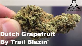 Recreational Cannabis Review of Dutch Grapefruit By Trail Blazin