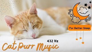 Relaxing Music For Cats - Cat Purring Sounds With Relaxing Healing Music 432Hz by Cats are Jerks 36 views 1 year ago 53 minutes