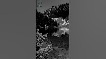 سورة المسد • مكية • بصوت سعود الشريم | عدد الآيات: 5 #قرآن #Quran #تلاوة #قرآن_كريم #المسد