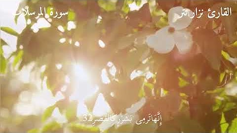 سورة المرسلات القارئ نزار تتر