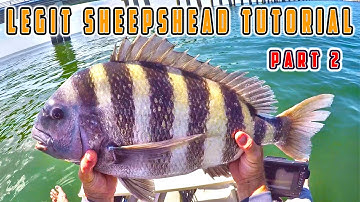 How to Catch Sheepshead (Part 2) Ultimate Fishing Tutorial