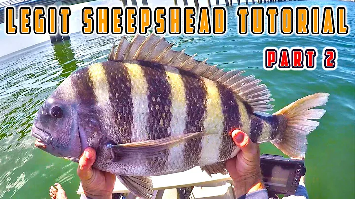 How to Catch Sheepshead (Part 2) Ultimate Fishing Tutorial