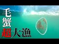 オホーツク海の旬、海明け毛蟹が湧いた【THE毛蟹 シーズン3】