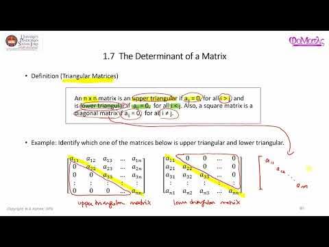 What is a Triangular Matrix and How to Find Its Determinant? - YouTube