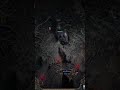 Totems, in wolf form? #poe2 #pathofexile2 #minionbuild #gamingshorts