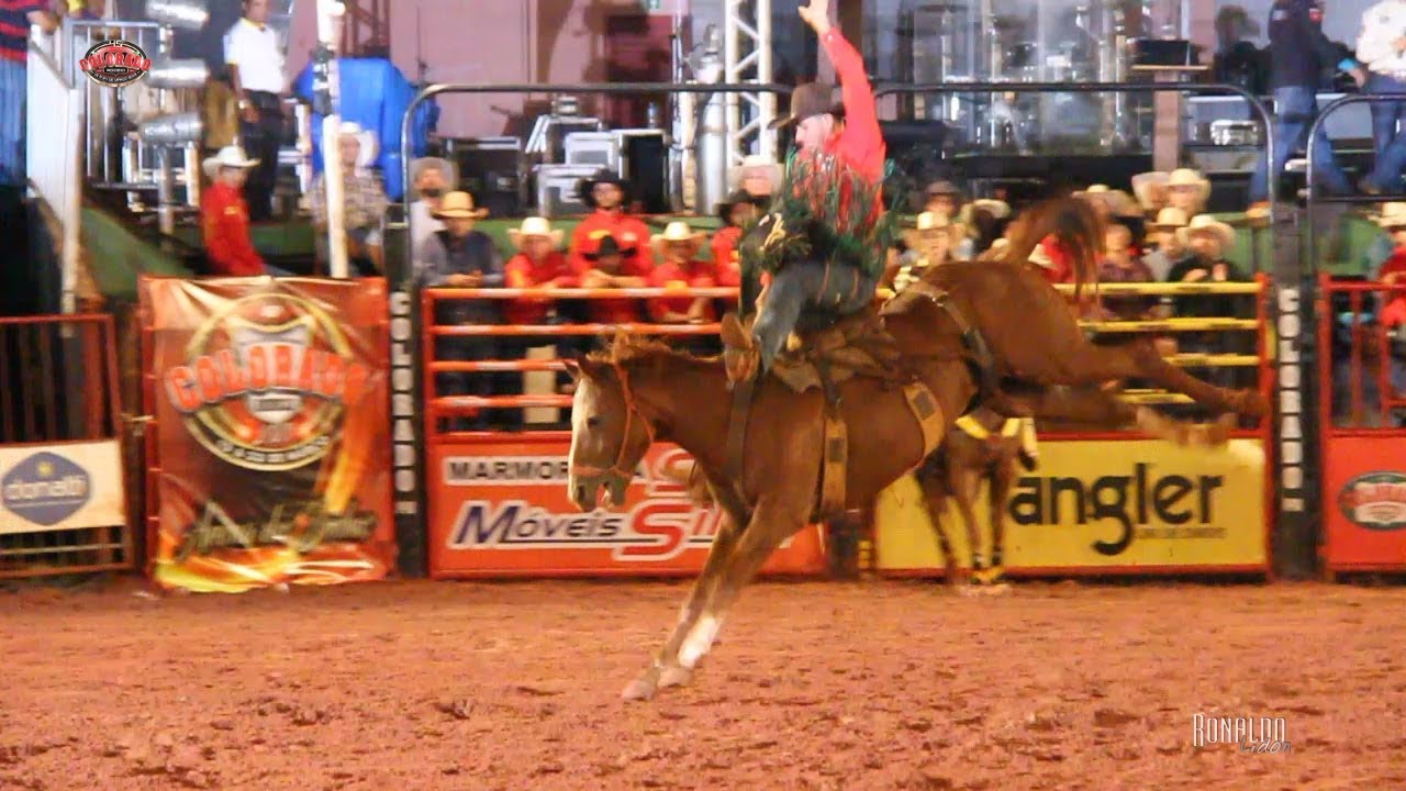 TOP TOMBOS em Cavalos - Rodeio de Colorado 2018 