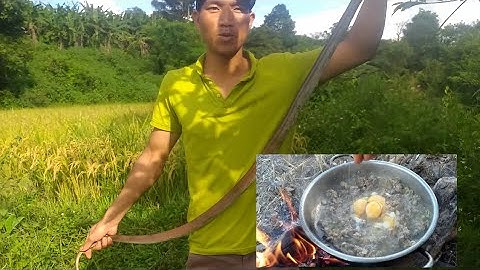 rắn xao xả ớt kết hợp với trứng