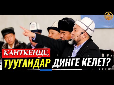 Video: Тажрыйбасы жок деле жумушка орношуунун 3 жолу