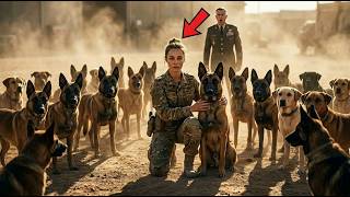The Marine Colonel Said Stand Down — Then 30 War Dogs Circled Her and Wouldn't Move