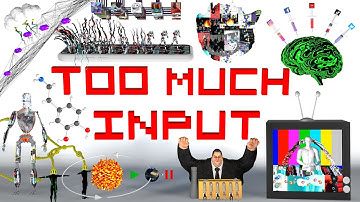 Too Much Input - Plexusplay