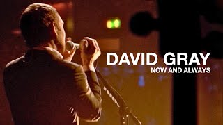 DAVID GRAY - Now And Always (Live in London)