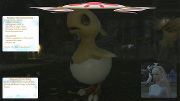 Final Fantasy 14: A Realm Reborn, Wayward Hatchling Minion