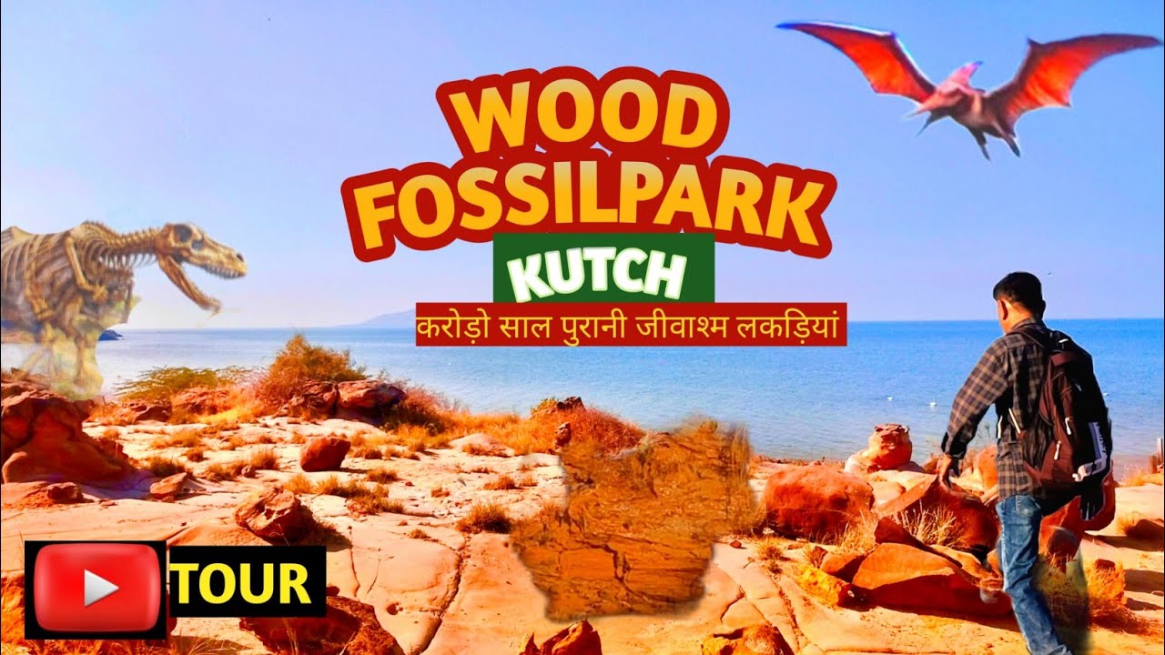 करोड़ो साल पीछे की यात्रा|समय से पुराना जंगल|जुरासिक काल|ईको-टूरिज्म|जीवाश्म पार्क|Rann|