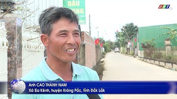 Cây nêu - nét đẹp Tết xưa ở Đắk Lắk