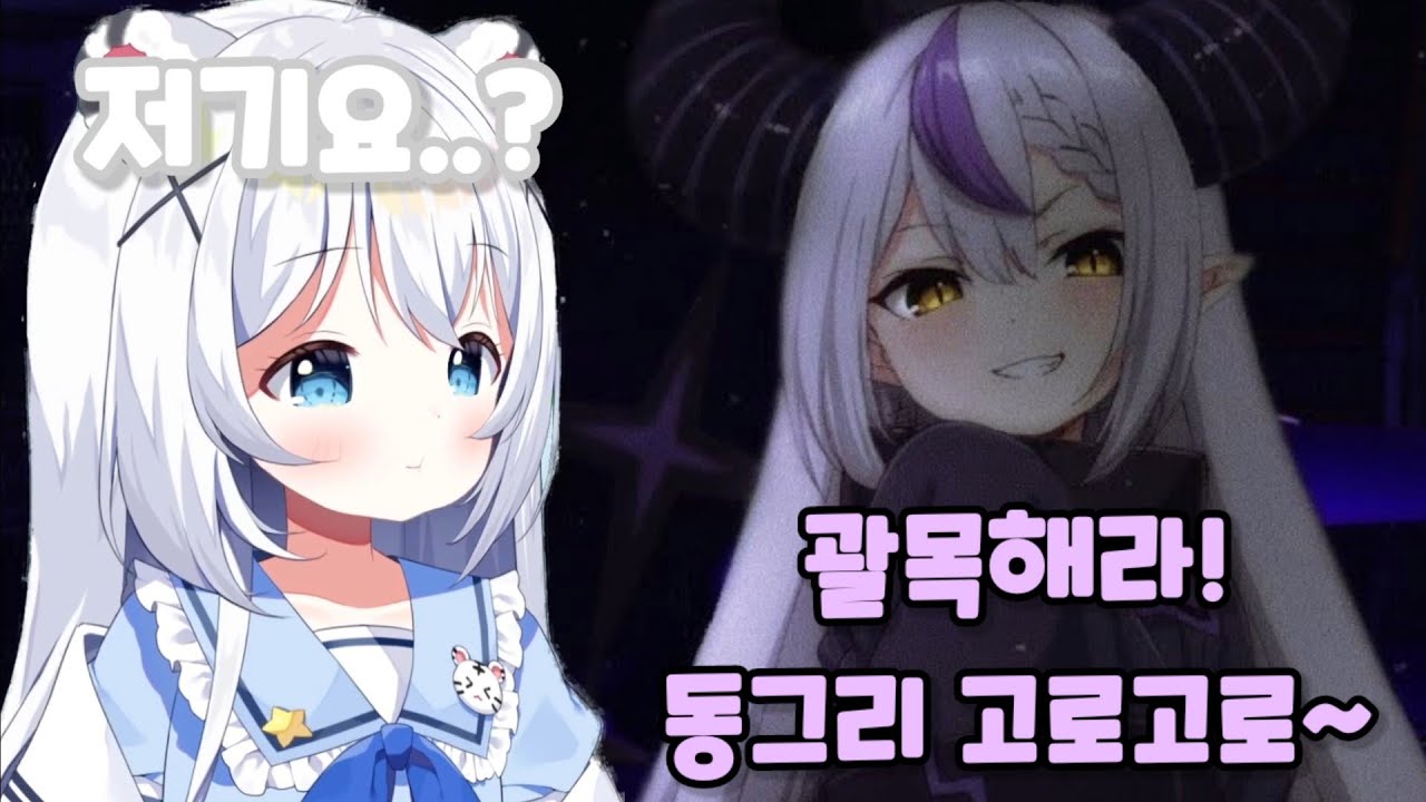 결국엔 묘야 방송에도 침투해버린 라플라스 총수님의 동그리 고로고로 [묘야]