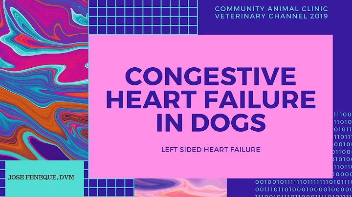 Veterinarian Explains: Congestive Heart Failure In Dogs| Left-Sided Heart Failure| Jose Feneque, DVM