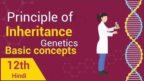 Fundamental Of Genetics | Principle Of Inheritance And Variation Class 12 | Be Educated