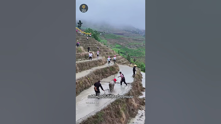 นาขั้นบันไดยักษ์จีน เลี้ยงคนทั้งหุบเขาได้ยังไง? | China’s Terraced Farms That Feed Mountains