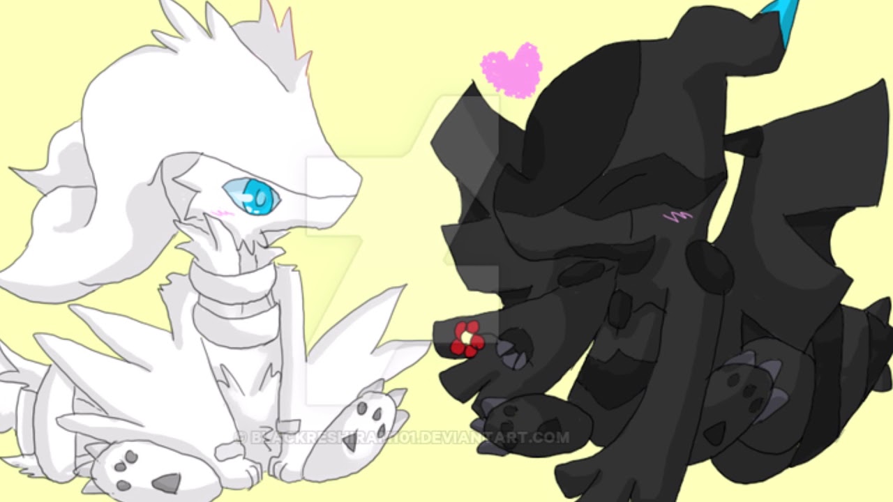 Zekrom and Reshiram Feel Again.