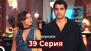 Зимородок 39 Cерия (Русский дубляж)