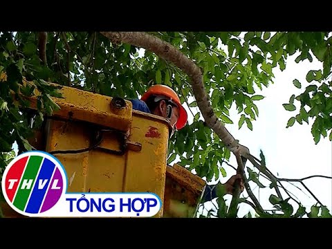 Video TP Vĩnh Long rong mé cây xanh đảm bảo an toàn mùa mưa... - youtube
