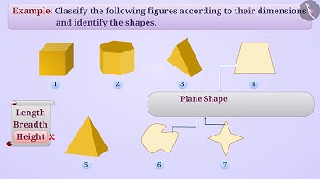 Plane figures and solid shapes | Part 2/3 | English | Class 7