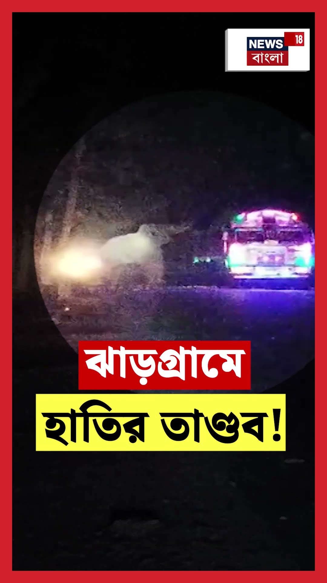 Jhargram এ হাতির তাণ্ডব!। N18S #shorts