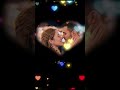 That First Kiss… 💖 (Romantic Music Video) (Official Music Video)