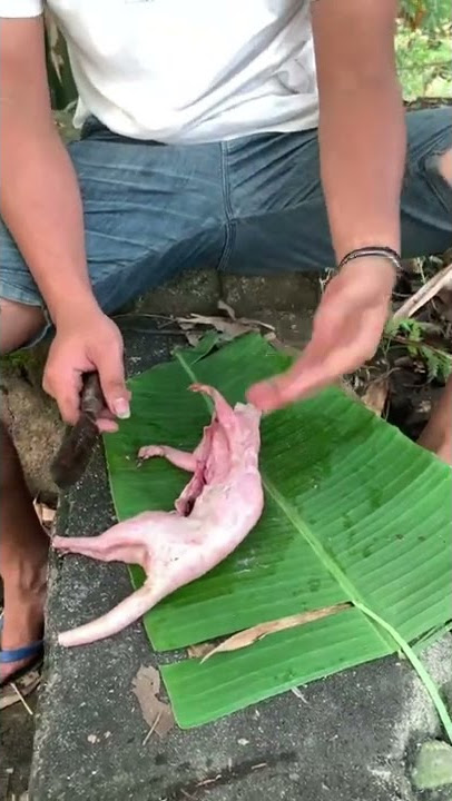 MAU BIKIN RICA RICA KUCING, TAPI APAKAH INI BENAR KUCING? 😁