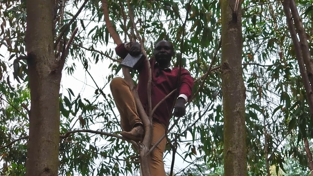 IGICANIRO CY'IMANA UMUGOROBA WO GUSENGA IMANA