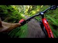 World Cup XC is no joke | Mountain Biking Dalby Forest