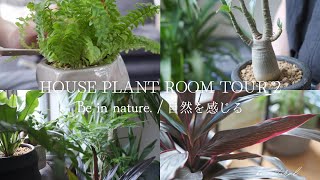 【Plant Tour】SUB)インテリアグリーンに囲まれた生活を大公開｜観葉植物ツアー【vlog】