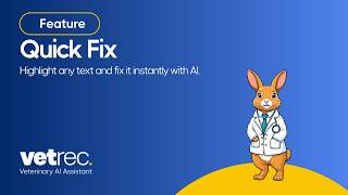 Introducing Quick Fix