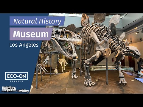 Vídeo: Museus históricos em Los Angeles