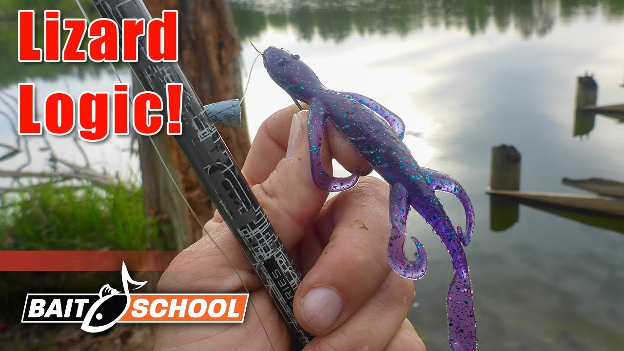 Do Lizards Still Catch Bass?! (Frank Scalish Facts & NEW Color Release) 