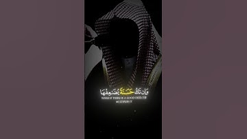 While if there is a good deed, He multiplies it 🥺SubhanAllah #ياسر_الدوسري #قرآن #سوره_النساء