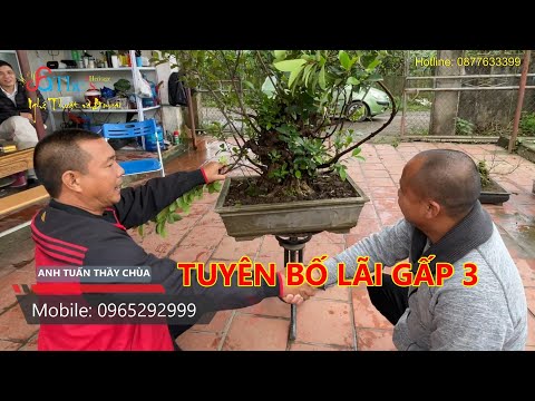 Video Vừa được Hoàng Lịch Thiệp nhượng cho cây Si Đẹp anh... - youtube